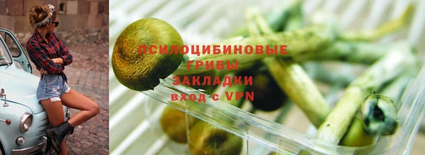 сатива Алексин
