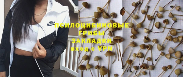 ешки Алзамай