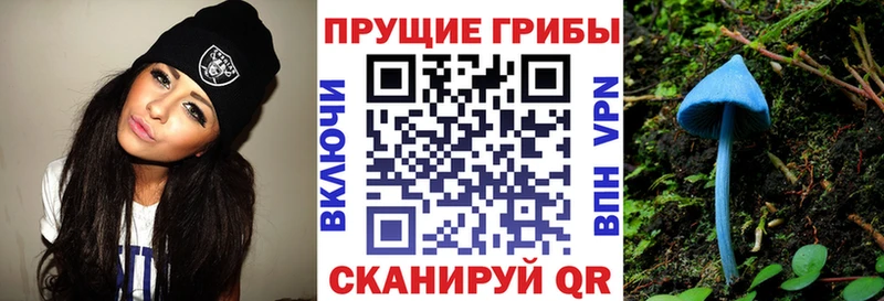 Галлюциногенные грибы GOLDEN TEACHER  Полевской 