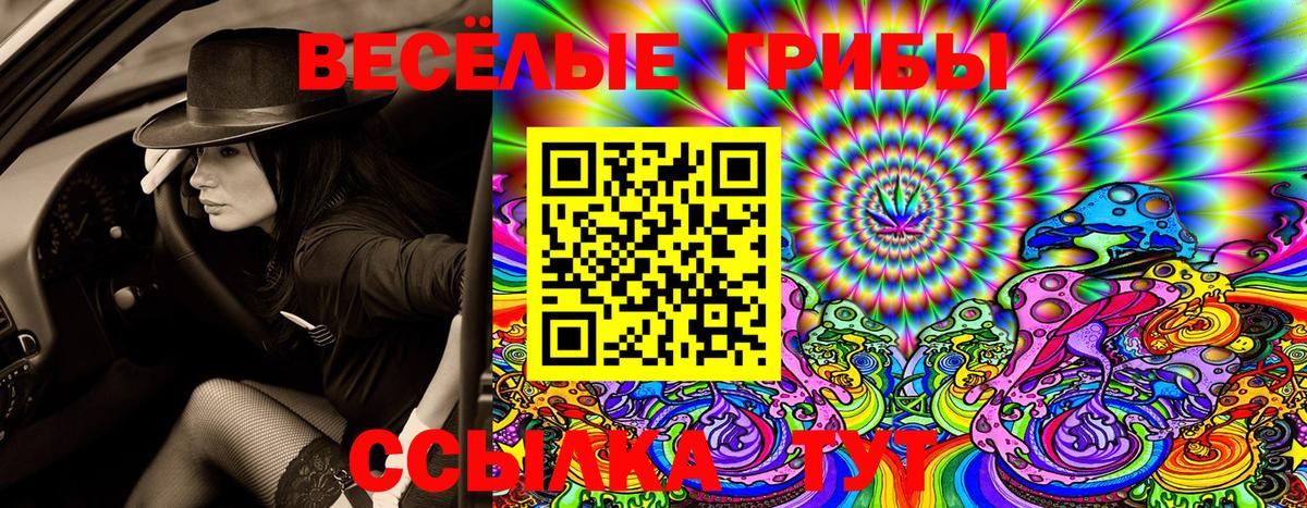 Псилоцибиновые грибы Psilocybe  Галлюциногенные грибы MAGIC MUSHROOMS  Вход с VPN  Полевской 